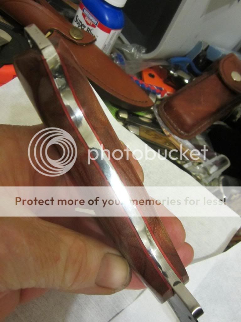 IMG_3525_zpsf1f60b76.jpg