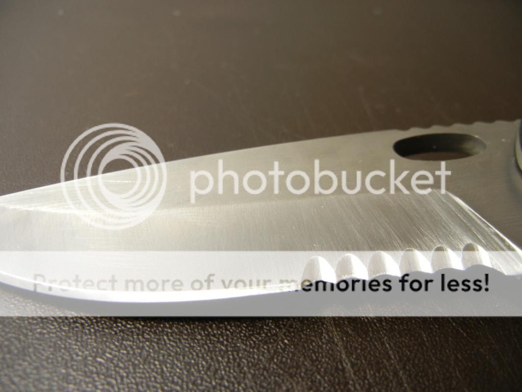 DSCN0829.jpg