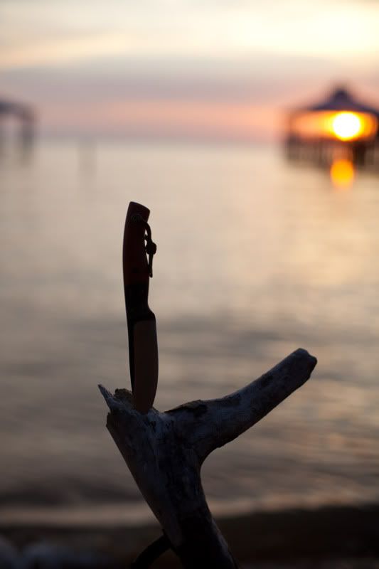 Lady_Sunset--3.jpg