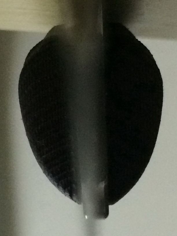 EGGSHAPE3.jpg