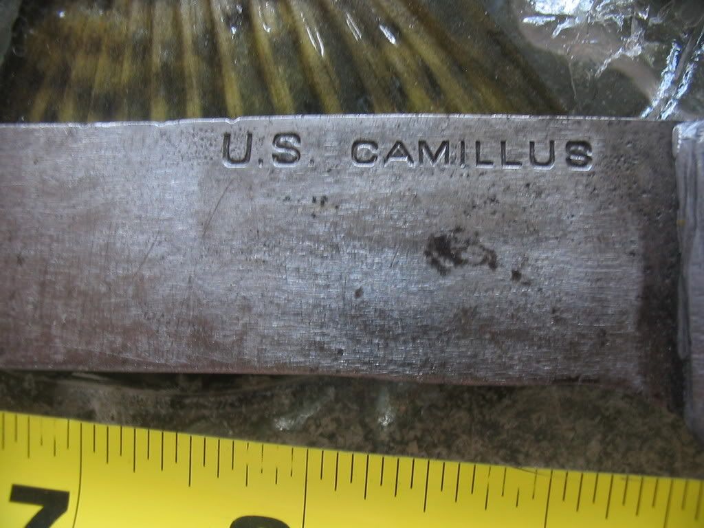 bigcamillus002.jpg