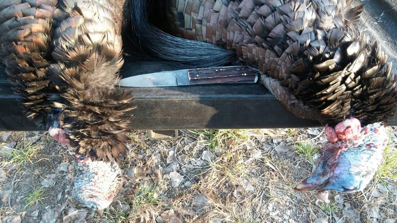 Kansas%20Hunt%2016%2026_edited-1_zpss94zo3pg.jpg