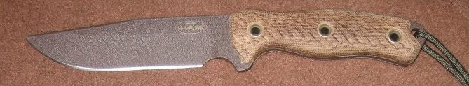 BrownTrout2013-1.jpg