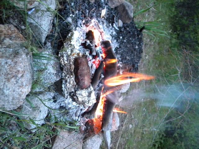 DSCN3983.jpg