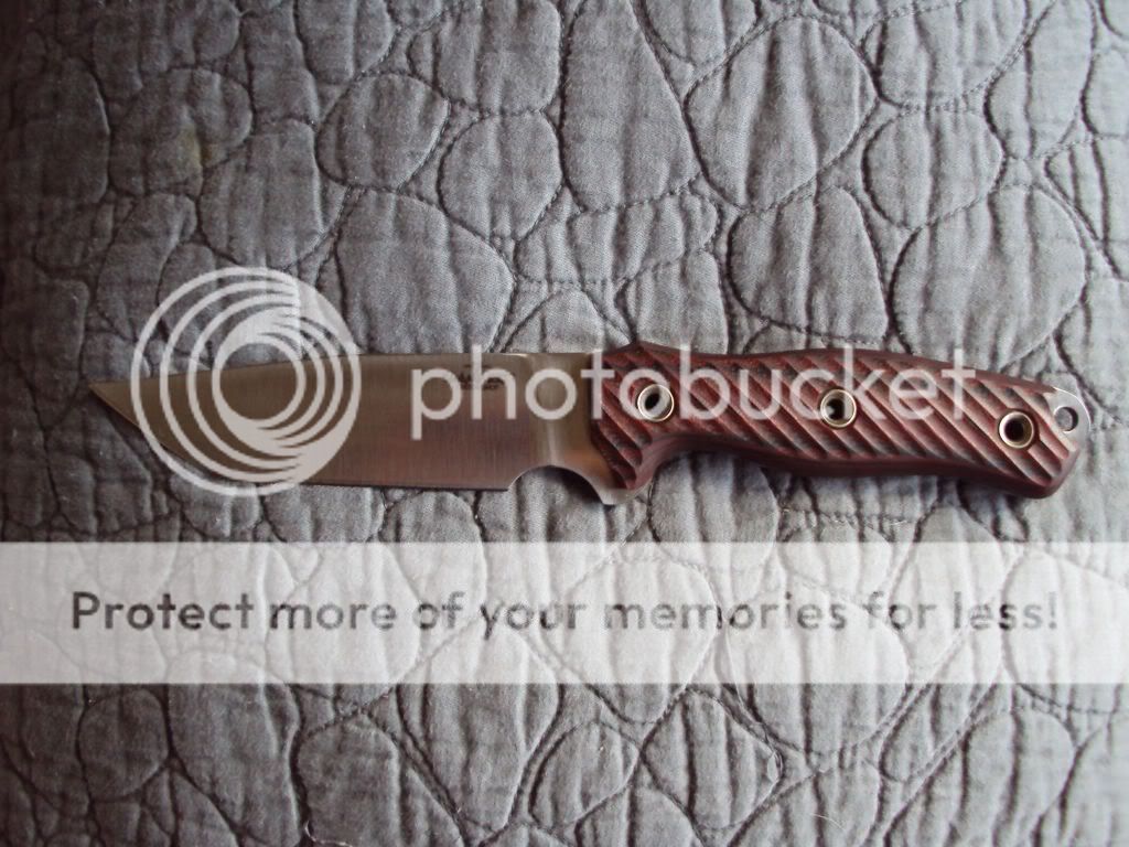 DSC05579_zps7eb6da50.jpg