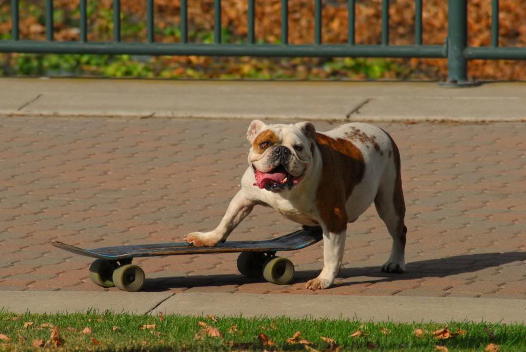 DSC_0408_zpscd4e69da.jpg
