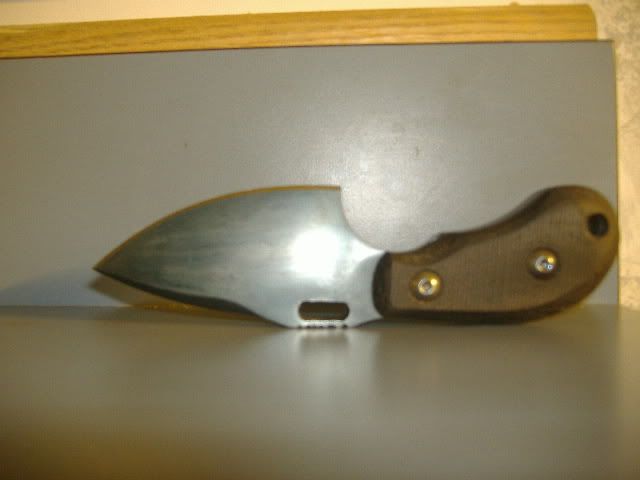 DSCF0600.jpg