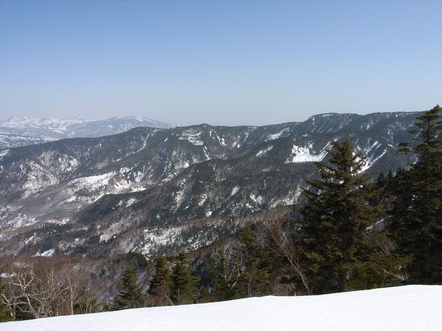 2010.03.20.r0020639.jpg