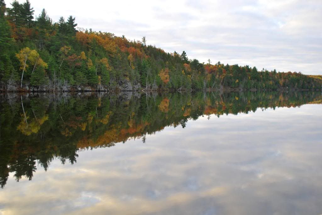 DSC_0110-1.jpg