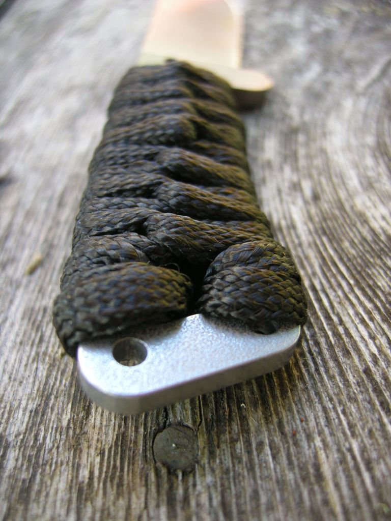 Remora5.jpg
