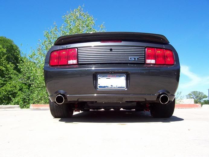 stang2.jpg