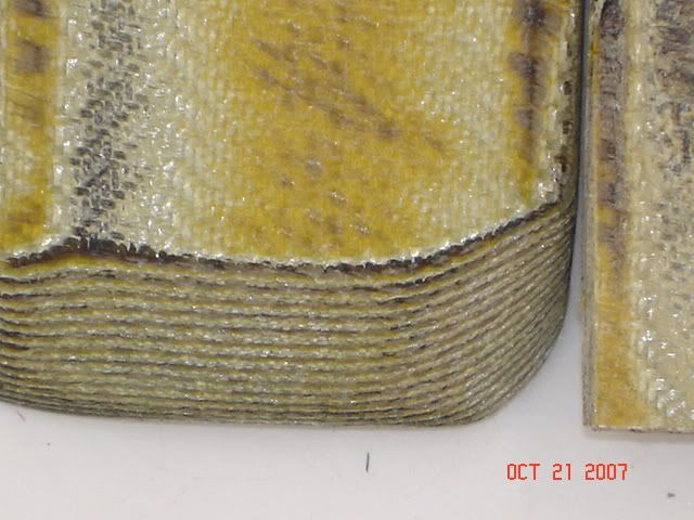 DSC01264.jpg