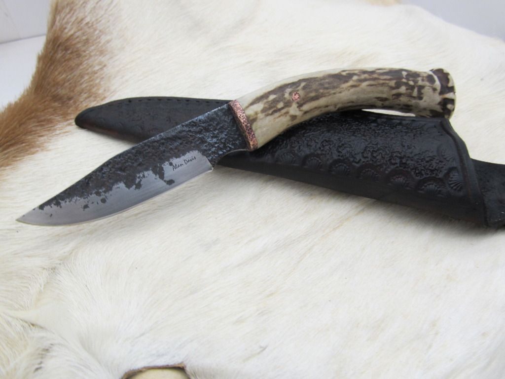 whiteltailmiserywhip014.jpg