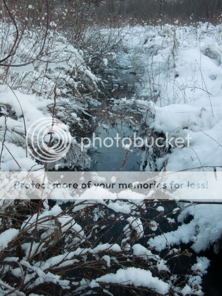 CIMG0024.jpg