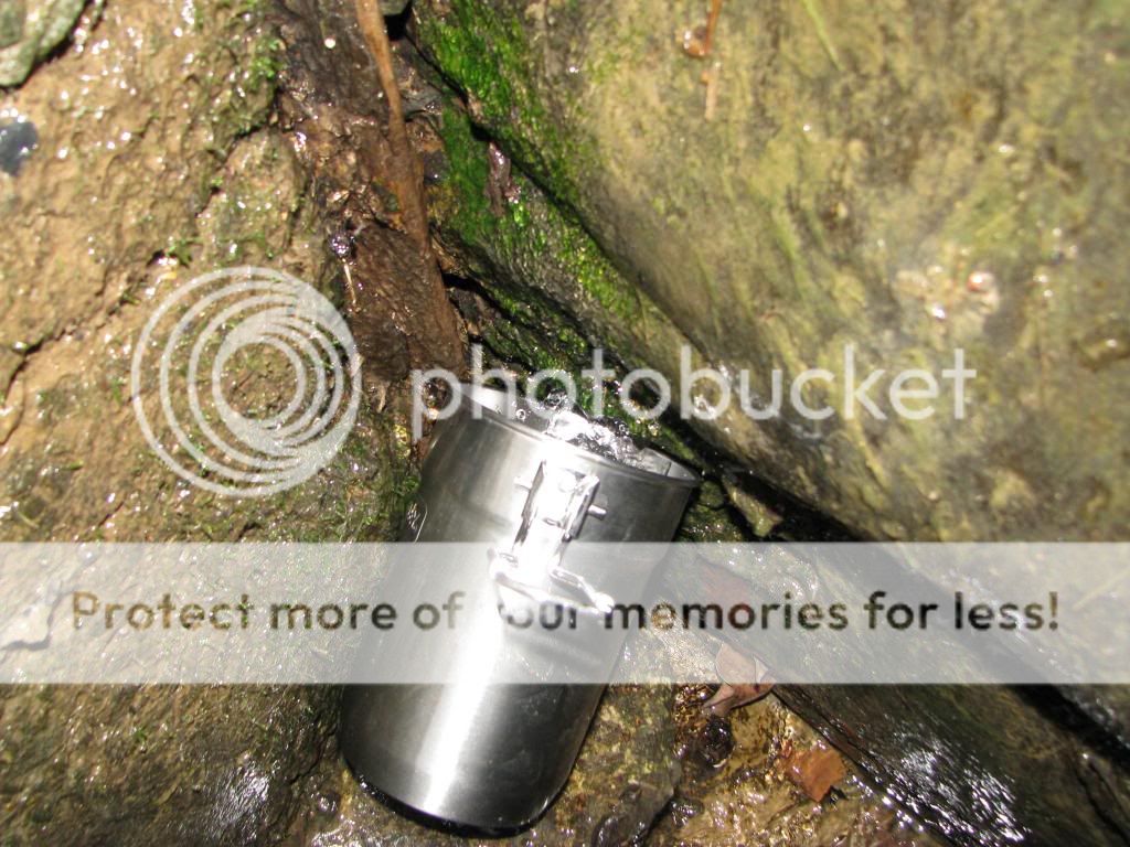 IMG_3370_zps4acc3cfb.jpg
