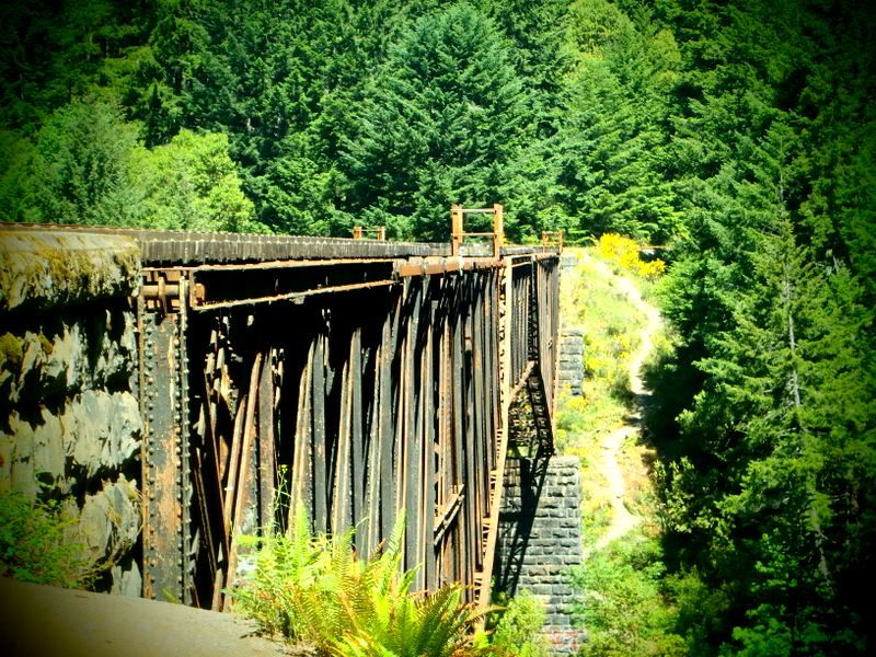Goldstream2012005.jpg