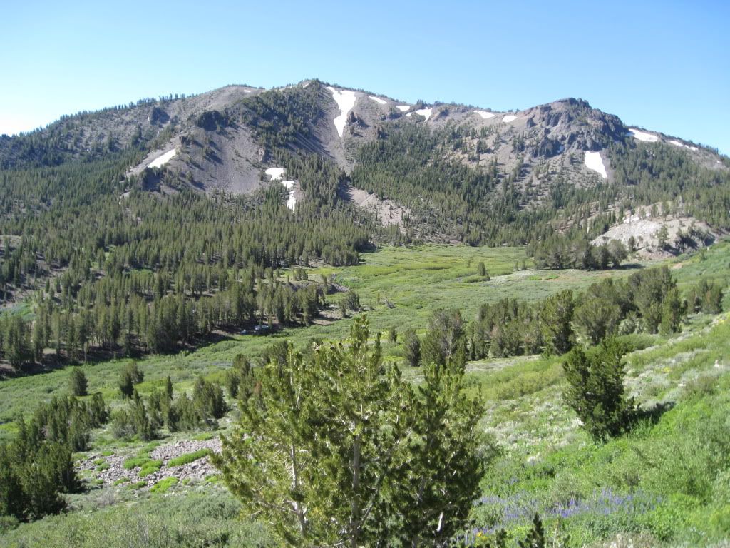 IMG_2555.jpg