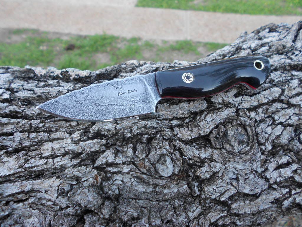 Buffaloand1095063.jpg