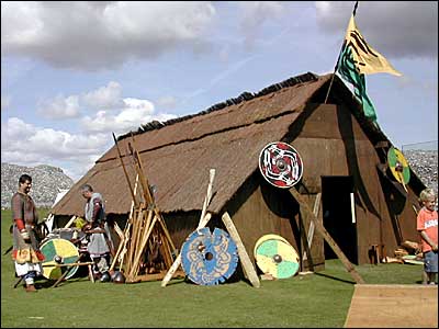vikings_3673_400x300.jpg