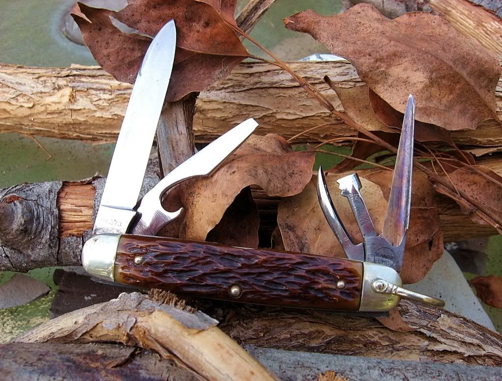 RemingtonGirlScoutR437302.jpg