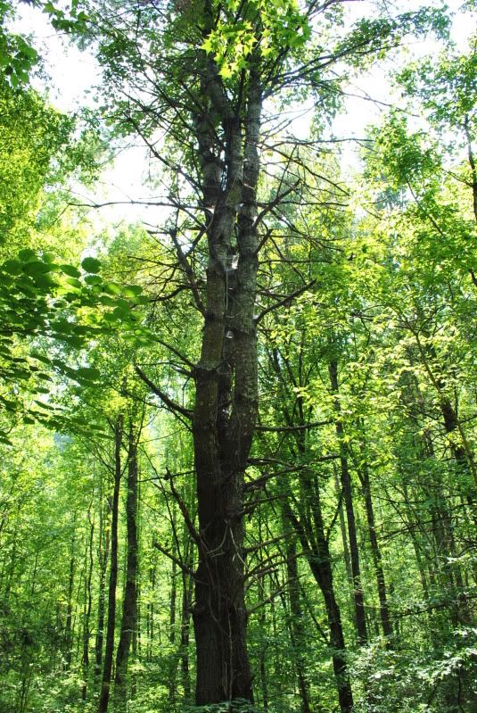 DSC_3941.jpg
