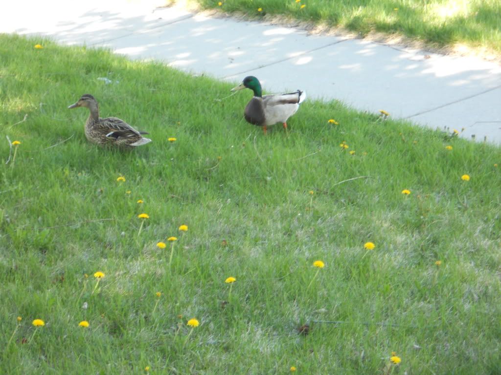 DSCN0318.jpg