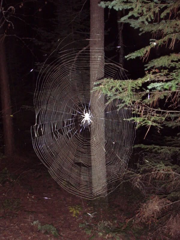 bwca2010hike016.jpg