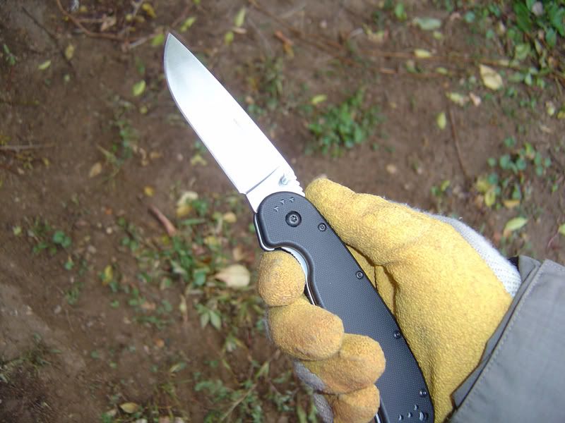 saksaw013.jpg