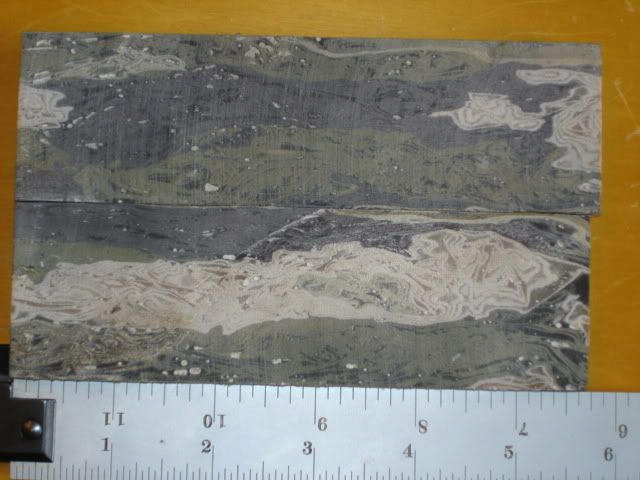 DSC02317.jpg
