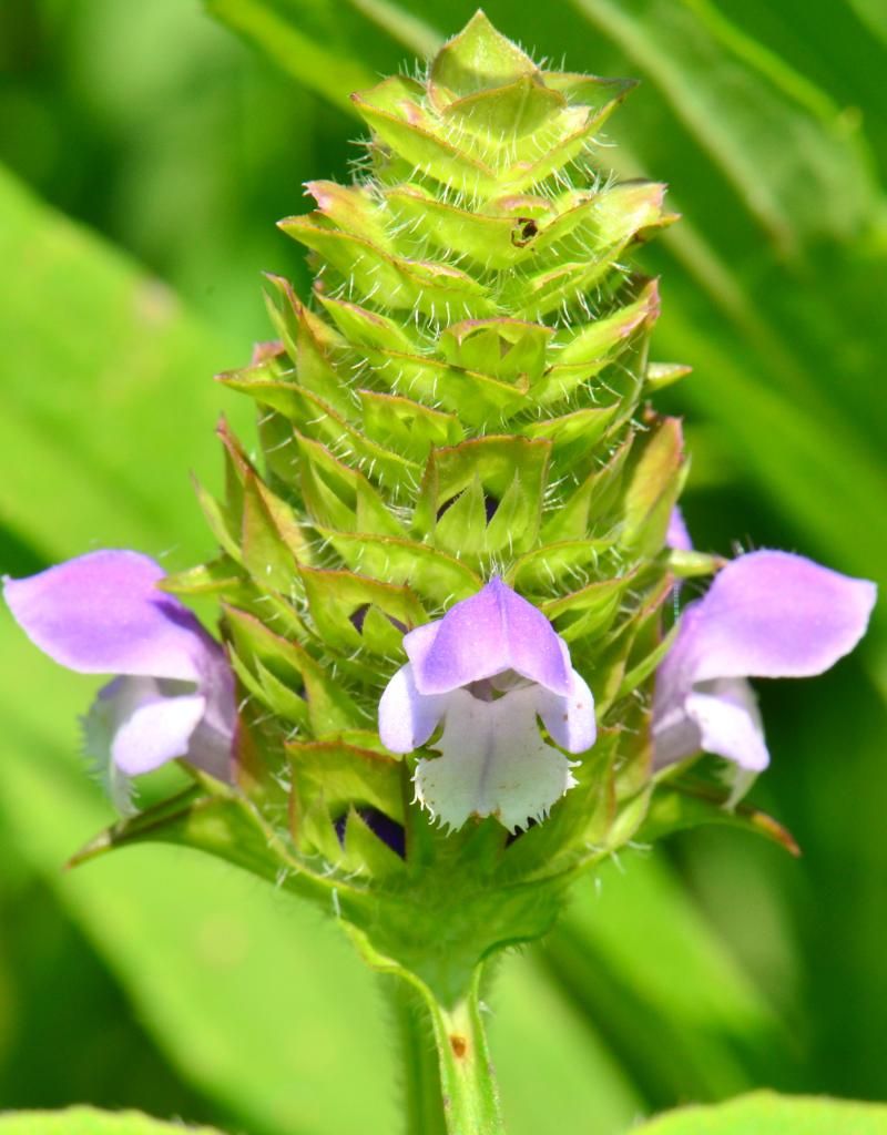 KGD_0664.jpg