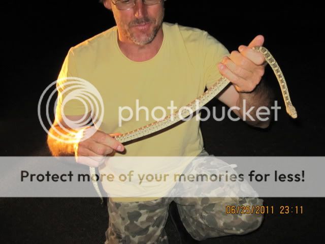 IMG_2649.jpg