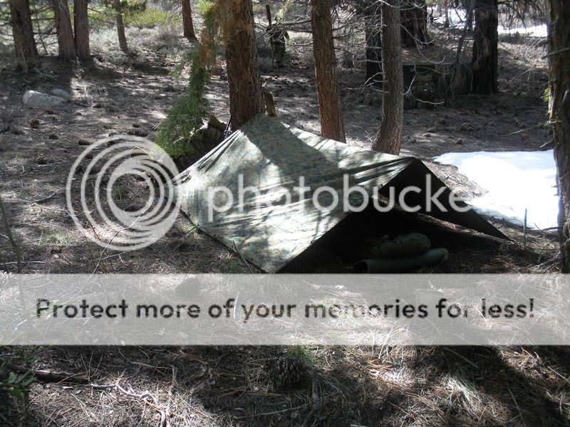 DSCN1189.jpg