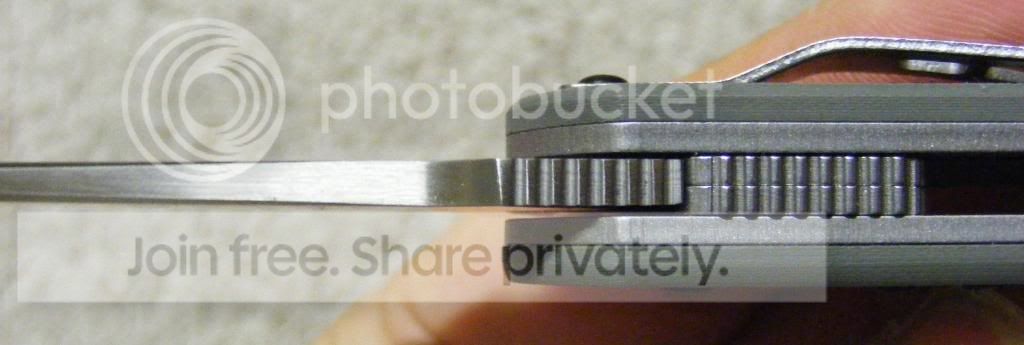 033-10.jpg