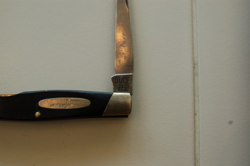 DSC_3651.jpg