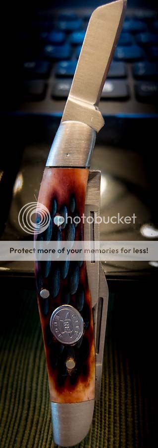 Rite_Edge_coping.jpg~original