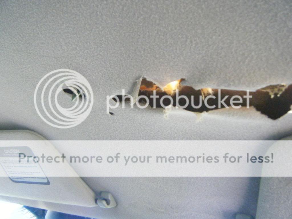 DSCF9173.jpg
