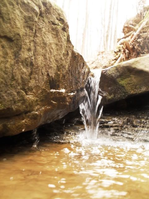 SDC12084.jpg