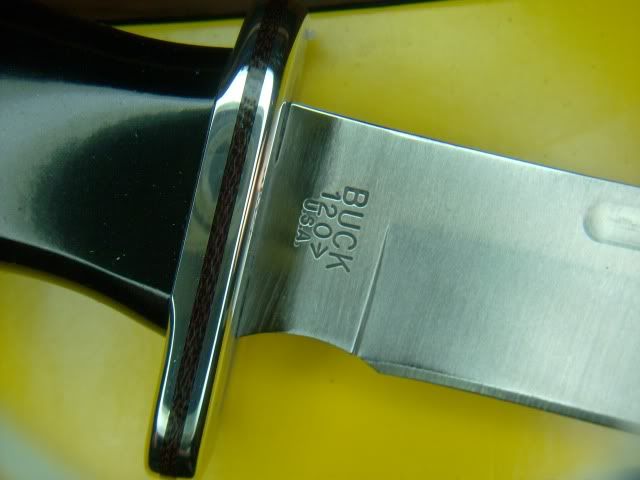 HPIM4719.jpg
