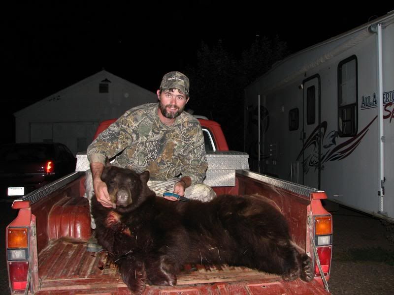 bear3.jpg