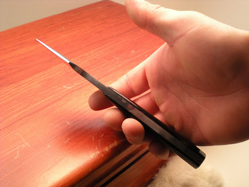 DSCN0732.JPG