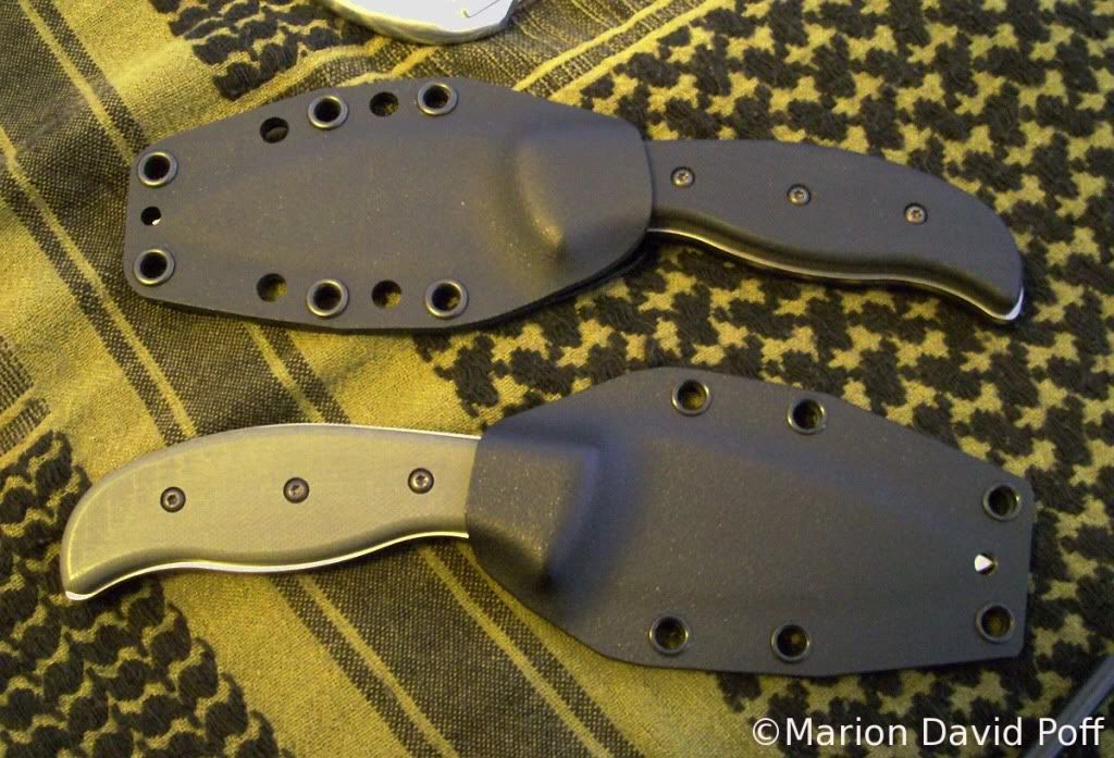 sheath-halpern.jpg