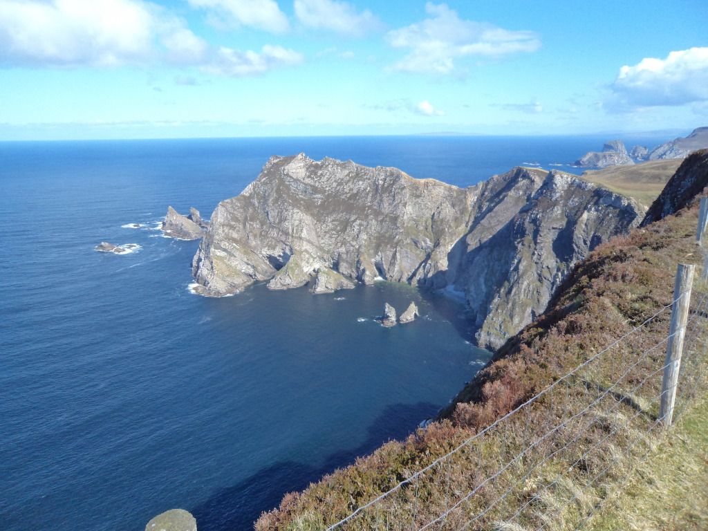 DSC00374.jpg