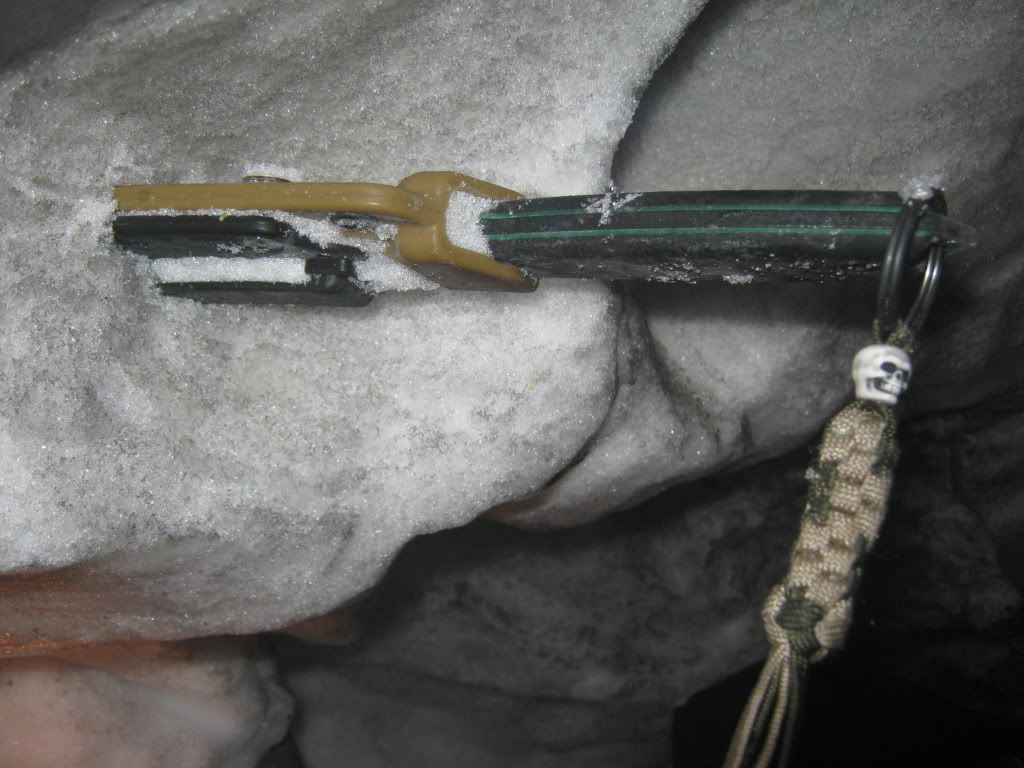 ESEE3.jpg
