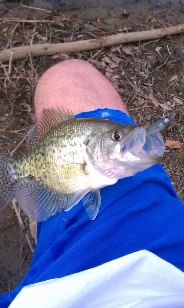 1242012crappie1.jpg