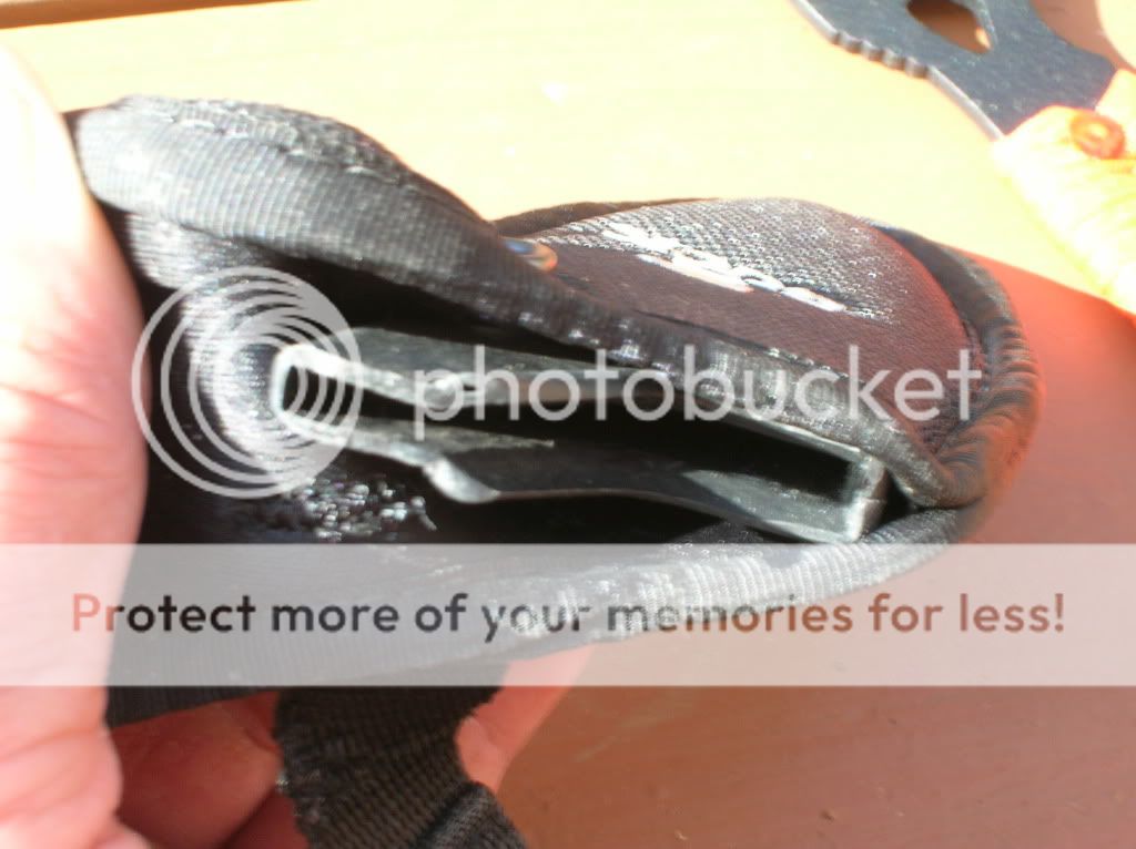 DSCN1095.jpg