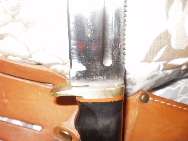 P1010358_zpsti1khjkd.jpg