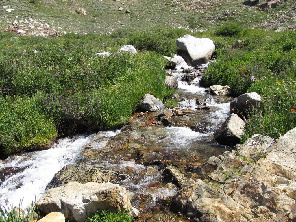 IMG_0493.jpg