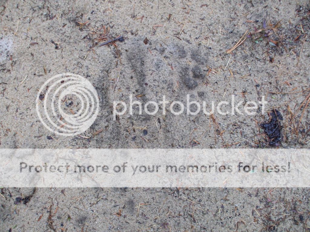 DSCF5811.jpg