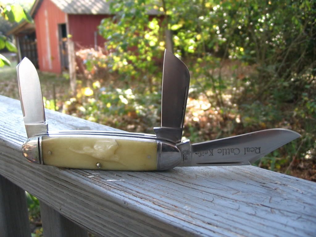 QueenDanBurke6.jpg