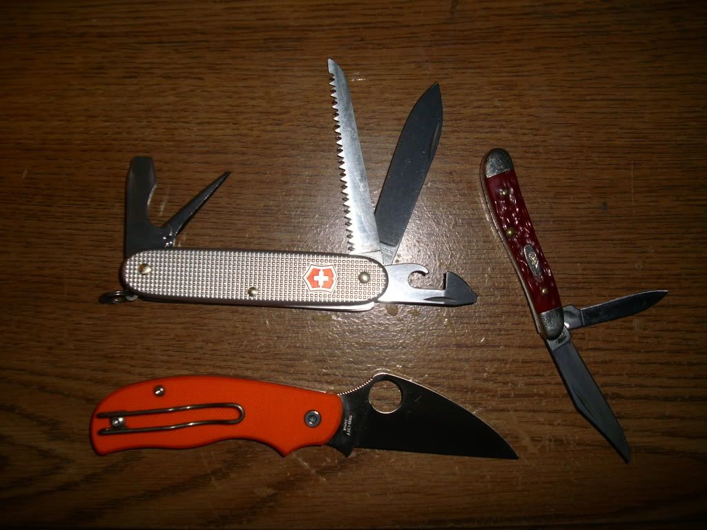 DSCI0568.jpg